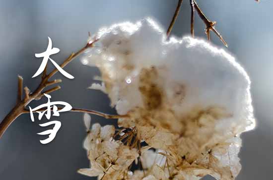 大雪名篇佳作 大雪诗词有哪些 大雪名篇佳作 大雪诗词有哪些