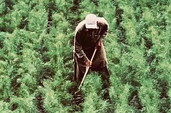 2024劳动节是几月几日 具体哪一天