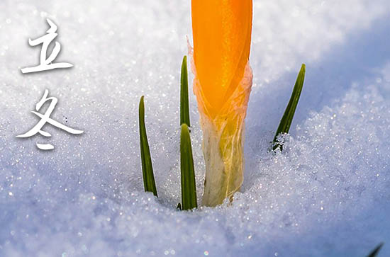 2024年立冬是哪一天 2024年立冬弄乔迁新居可以吗