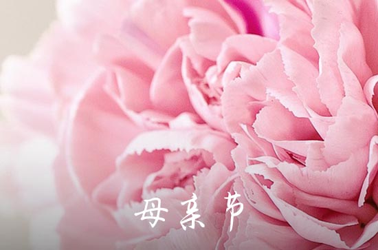 母亲节给老婆发多少红包比较好 母亲节给老婆送什么花
