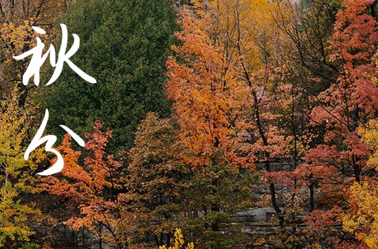 秋分养生祝福语（精选60句）