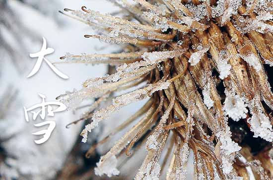 大雪送客户祝福语40句