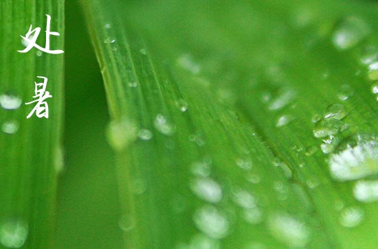 处暑的处是什么意思 处暑的注意事项
