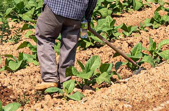 2023五一劳动节高速公路免费吗 2023五一高速公路免费时间 2023五一劳动节高速公路免费吗 2023五一高速公路免费时间