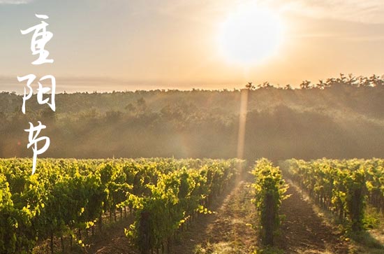 重阳节吃什么食物 过重阳节要吃哪些美食_ 重阳节吃什么食物 过重阳节要吃哪些美食_