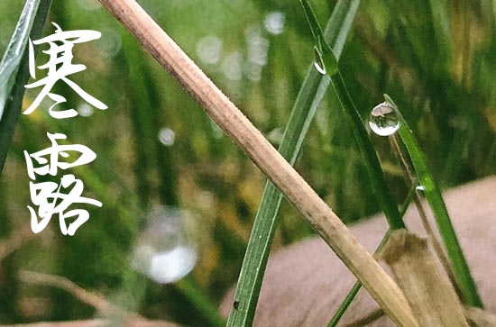 2024年寒露是农历几月几日 具体时间几点几分 2024年寒露是农历几月几日 具体时间几点几分