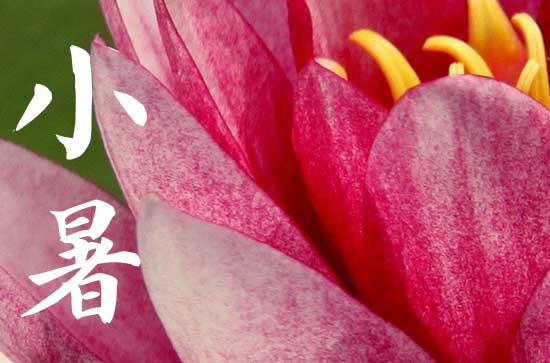 2024年几月几号是小暑 小暑是入伏的第一天吗