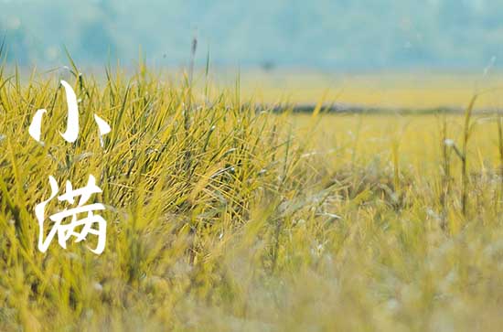 小满不满干断田坎是什么意思