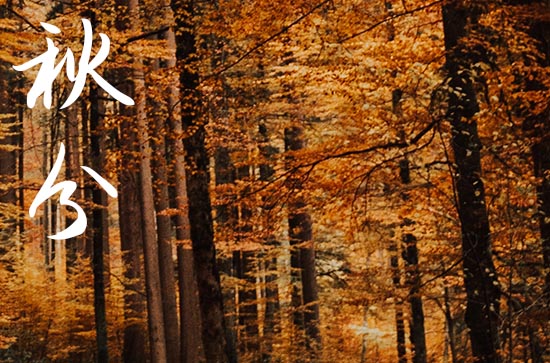 秋分2024年是几月几日星期几 今天日子好不好