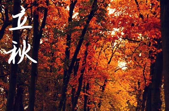 2024年今天几点立秋 季节划分