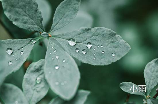 9月28日呼和浩特会下雨 今日小雨转中雨温度21℃~16℃
